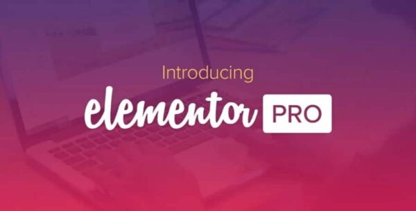 Elementor PRO WordPress Page Builder + Pro Templates 3.30.1